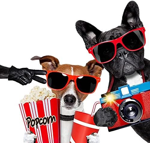 Pibupibu 10/20 Packs Adults Wholesale Neon Colors Square Retro Style Party Favors Sunglasses