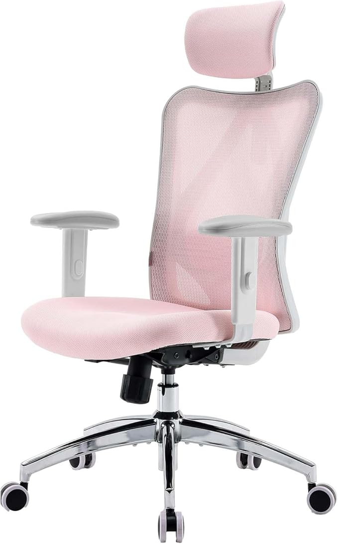 SIHOO M18 Ergonomic Office Chair, Computer Desk Chair with Adjustable Headrest and Lumbar Support, High Back Executive Swivel Chair for Home Office (Light Pink)