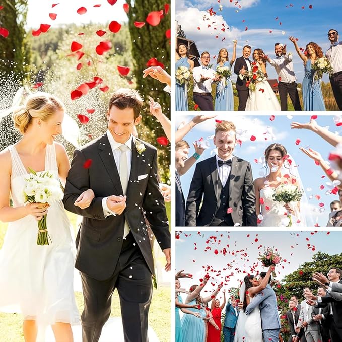Rose Petals 2000 pcs Artificial Silk Red Rose Petals Flower Petals Fake Faux Roses Petal for Romantic Night Roses Petal Decorations for Wedding Proposal Anniversary Valentine's Day Flower Decorations