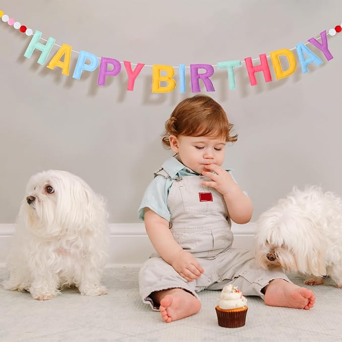 Felt Happy Birthday Garland Rainbow Banner Reusable Happy Birthday Sign Party Supply for Party Decor(Bright Color,Normal)