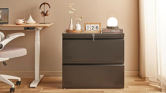 Metal File Cabinet with Lock, 2 Drawer Lateral File Cabinets for Home Office, Printer Stand, Heavy Duty Office Storage Cabinet for A4/Letter/Legal Size, Assembly Required(Black)