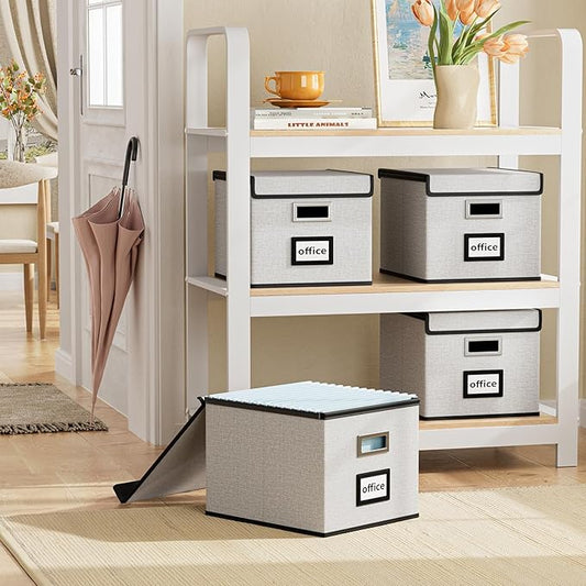 Huolewa File Organizer Box with Lid, Collapsible File Folder Organizer for Office Document Storage, Filing Box with Plastic Slide for Letter Size Hanging File Folders(1 Pack, White)