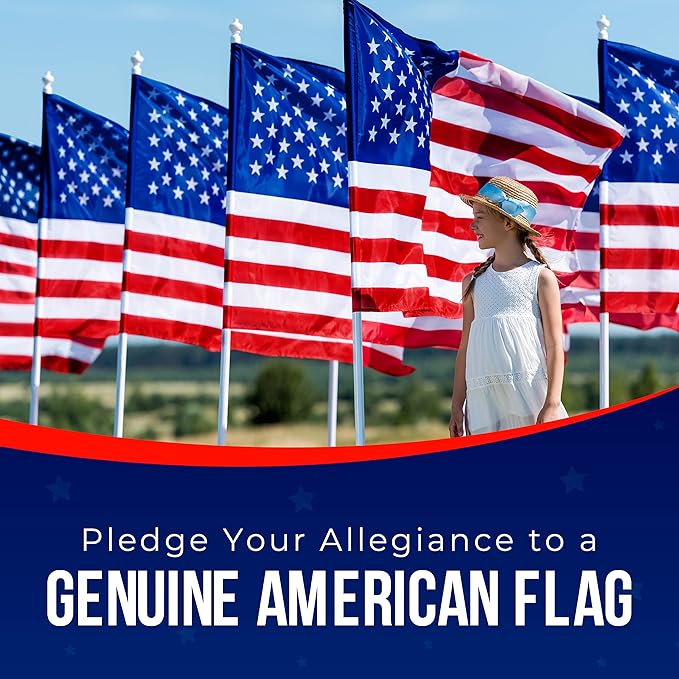 American Flags for Outside 3X5 (Pack of 5) -American Flag 3x5 with Embroidered Stars and Sewn Stripes US Flag 3x5 Heavy Duty Outdoor Made in USA for High Wind- All Weather Flags