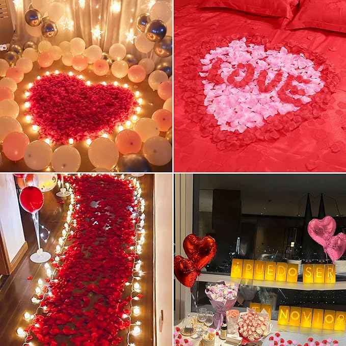 PUEDO SER TU NOVIO? Lighted Letters Sign 17pcs Luminary Paper Bags 2200pcs Red Pink Artificial Rose Petals 48pcs Flameless LED Candle Tealight 15pcs Heart Balloons Romantic Night Valentine's Day