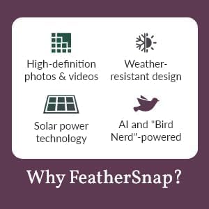 Smart Bird Feeder: AI Bird ID, Solar Power, Wi-Fi Connectivity, Sends HD Pictures and Videos to Your Phone, Two Seed Bins, Multiple Mounting Options - Best Smart Bird Feeder
