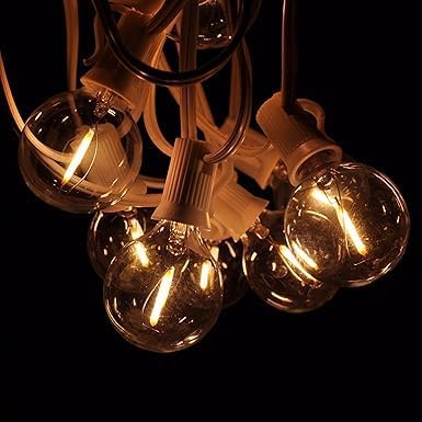 Hometown Evolution, Inc. G50 2" LED Filament Outdoor Patio String Lights with 0.6 Watt Light Bulbs (G50 LED - White Wire, 10 ft)