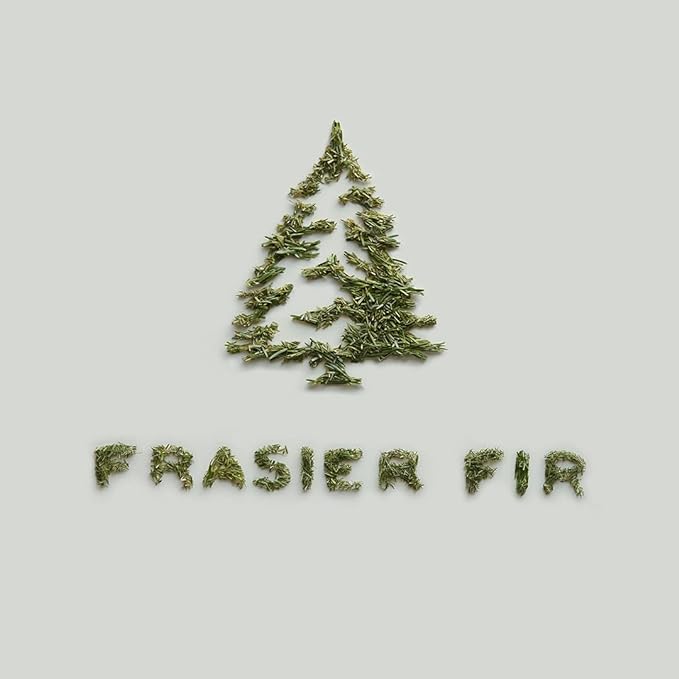 Thymes Frasier Fir Reed Diffuser Set – Includes Reeds, Fragrance Oil, and Frosted Glass Bottle – Fragrance Oil Diffuser – Room Fresheners – Luxury Home Decor – Green (Heritage, 4 fl oz)