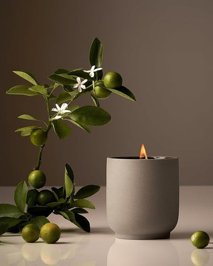 Homecourt Luxury Scented Candle, 60-Hour Burn Time, Soy Wax Blend & Organic Cotton Wick, Kiln-Fired Reusable Ceramic Vessel, Neroli Leaf, 8 oz