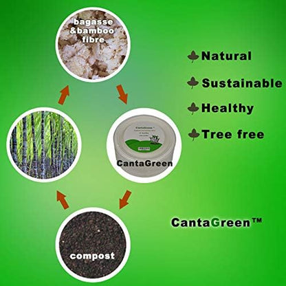 6 inch Small Compostable Dessert Plates,100 Count Heavyduty Sugarcane/Bagasse and Bamboo Fibre Biodegradable Disposable Paper Plate