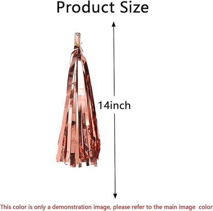 We Moment Rose Gold Peach Brown Tissue Paper Tassels Party Tassel Garland Banner for Boho Birthday Bridal Shower Wedding Bachelorette Baby Shower Decorations DIY Kits,20PCS