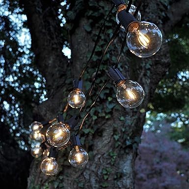 Hometown Evolution, Inc. G50 2" LED Filament Outdoor Patio String Lights with 0.6 Watt Light Bulbs (G50 LED - White Wire, 10 ft)