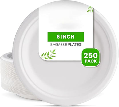 Round Compostable Plates, Disposable Sturdy, Sugarcane Biodegradable, Microwave Freezer Safe for Parties, Weddings, Events (6 Inch, 125, Count)