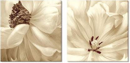 SEVEN WALL ARTS Flower Canvas Wall Art 2 Pieces Neutral Beige Floral Pictures Elegant Blossom Flowers Poster Print for Living Room Bedroom Office Boho Decor 24"x24"