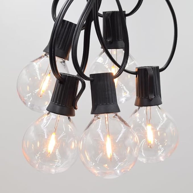 Hometown Evolution, Inc. G50 2" LED Filament Outdoor Patio String Lights with 0.6 Watt Light Bulbs (G50 LED Plastic - Black Wire, 25 ft)