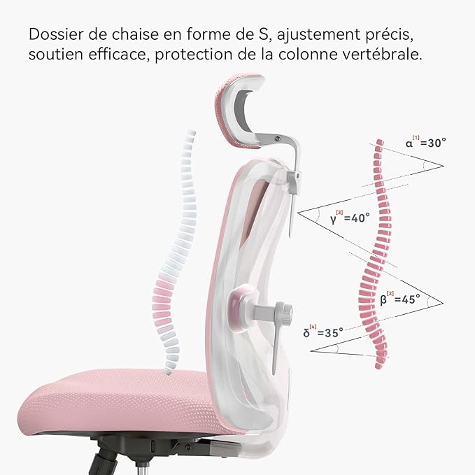 SIHOO M18 Ergonomic Office Chair, Computer Desk Chair with Adjustable Headrest and Lumbar Support, High Back Executive Swivel Chair for Home Office (Light Pink)