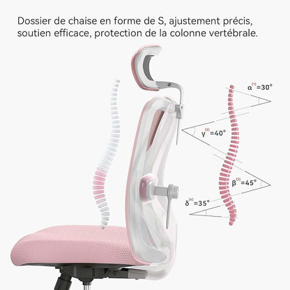 SIHOO M18 Ergonomic Office Chair, Computer Desk Chair with Adjustable Headrest and Lumbar Support, High Back Executive Swivel Chair for Home Office (Light Pink)