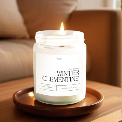 Winter Clementine Scented Candles for Home, 9oz Natural Soy Wax Aromatherapy Organic Citrus Candle for Stress Relief, Long Burning & Lasting Jar Candle Gifts for Christmas, Winter, Holiday