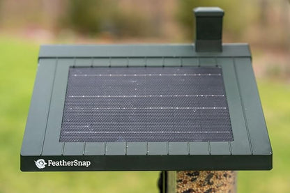 Smart Bird Feeder: AI Bird ID, Solar Power, Wi-Fi Connectivity, Sends HD Pictures and Videos to Your Phone, Two Seed Bins, Multiple Mounting Options - Best Smart Bird Feeder