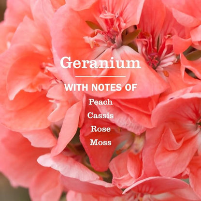 MRS. MEYER'S CLEAN DAY Multi-Surface Everyday Concentrate, Geranium Scent, 32 Fl Oz Bottle - 2 Pack
