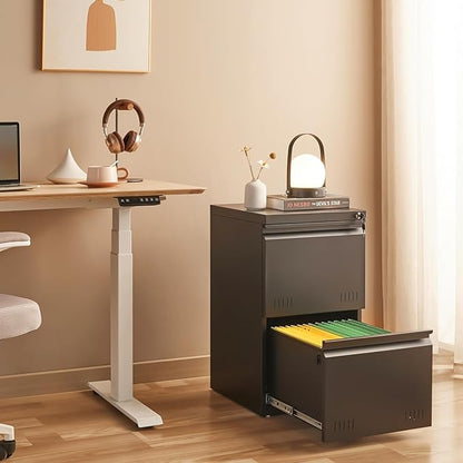 2 Drawer File Cabinets for Home Office, Vertical File Cabinet with Lock, Office Cabinet for A4/Letter/Legal Size, Under Desk Filing Cabinet, Assembly Required(Black)