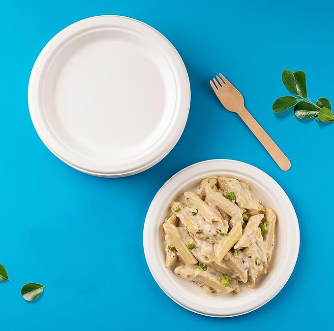 Round Compostable Plates, Disposable Sturdy, Sugarcane Biodegradable, Microwave Freezer Safe for Parties, Weddings, Events (6 Inch, 250, Count)
