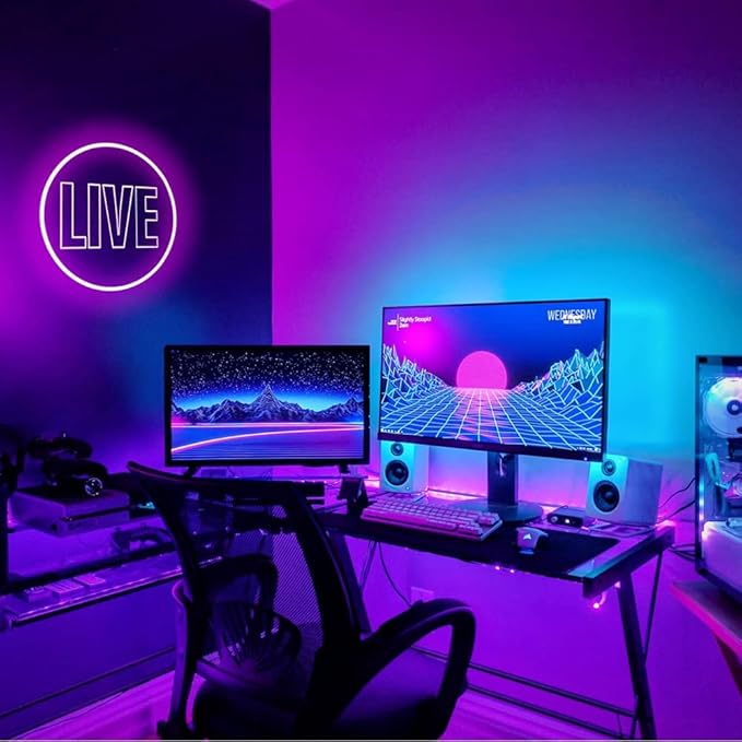 Live Neon Lights Sign, USB Powered Live On Air Led Neon Wall Art Sign, Dimmable Wall Décor Round Live Streaming Neon Night Light LED Sign for Streamer, Gamer, Game Room Decoration (Pink)