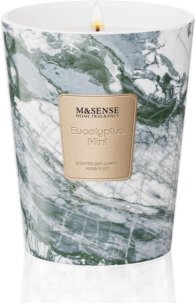 M&SENSE Eucalyptus Mint Scented Candles for Home, 3 Wick Highly Scented Jar Candle, 14.1 Oz 80H Long Lasting Burning Christmas Candle for Women, Aromatherapy Candles for Holiday Christmas Gift