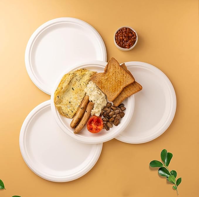 Round Compostable Plates, Disposable Sturdy, Sugarcane Biodegradable, Microwave Freezer Safe for Parties, Weddings, Events (10 Inch, 250, Count)