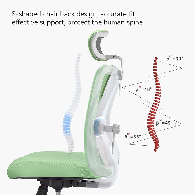 SIHOO M18 Ergonomic Office Chair, Computer Desk Chair with Adjustable Headrest and Lumbar Support, High Back Executive Swivel Chair for Home Office (Light Green)
