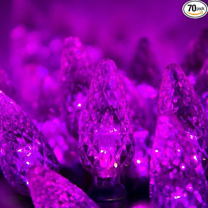 Wintergreen Lighting 70 Count C6 LED Purple Halloween Lights, 24 ft Green Wire Indoor/Outdoor Commercial Grade String, Holiday and Halloween Decorations