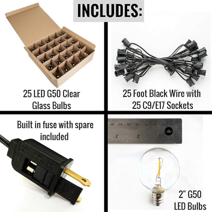 Hometown Evolution, Inc. G50 2" LED Filament Outdoor Patio String Lights with 0.6 Watt Light Bulbs (G50 LED - Black Wire, 25 ft)