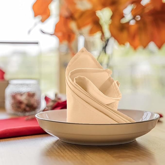 Beige Cloth Napkins Bulk (Pack of 24) - 100% Polyester Dinner Linen Napkins Cloth Washable & Reusable - Durable with Hemmed Edges - Ideal for Parties and Weddings (17x17 Inches)