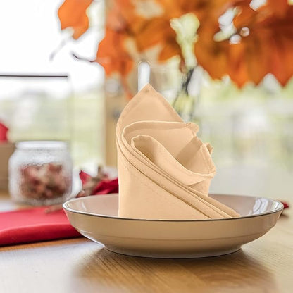 Beige Cloth Napkins Bulk (Pack of 24) - 100% Polyester Dinner Linen Napkins Cloth Washable & Reusable - Durable with Hemmed Edges - Ideal for Parties and Weddings (17x17 Inches)
