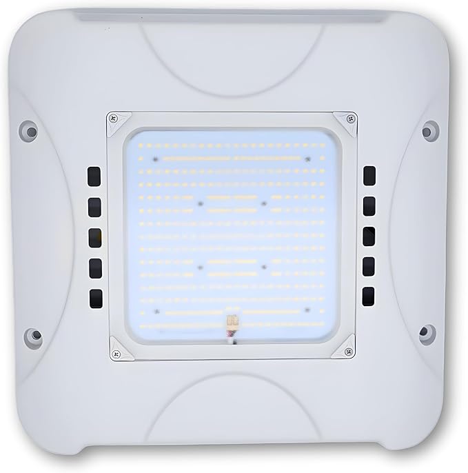 300W LED Canopy Light, Waterproof Parking Lot Lights for Outdoor, Warehouse, Gas Station, Carport, Auto Shop - 5700K Daylight, 48000LM, 100-277V