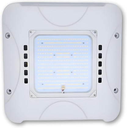 300W LED Canopy Light, Waterproof Parking Lot Lights for Outdoor, Warehouse, Gas Station, Carport, Auto Shop - 5700K Daylight, 48000LM, 100-277V