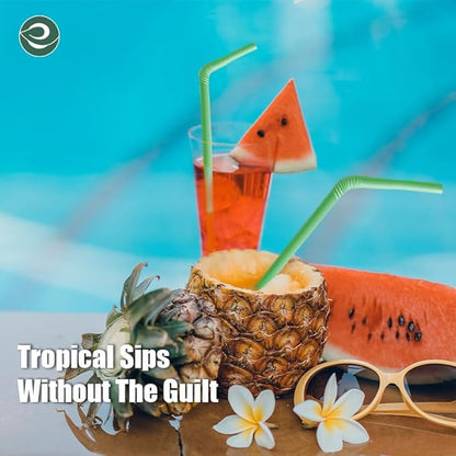ECO SOUL Straws [500 Count][8.25"] Eco-Friendly Disposable Straws, Cocktail Cold Drink Smoothie Bendable