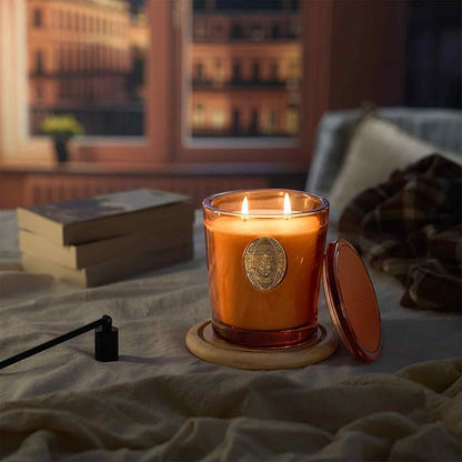 M&SENSE Large Two-Wick Soy Candle | Orange Goji & Neon Orange | 19.8 oz, 120H Burn Time | Luxury Scented Candle for Relaxation, Gifting, Home Décor | Ideal for Bedroom, Office, Party Ambiance