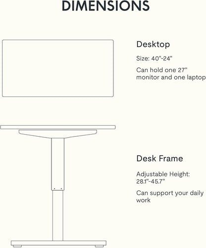 FLEXISPOT EN1 One-Piece Standing Desk with 1-Inch Thick Desktop, 40"x24" Electric Height Adjustable Desk for Home Office & Multi-Device Workstations, Maple