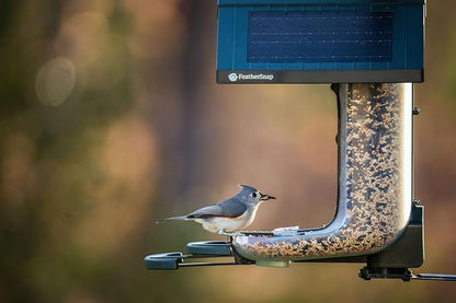 Smart Bird Feeder: AI Bird ID, Solar Power, Wi-Fi Connectivity, Sends HD Pictures and Videos to Your Phone, Two Seed Bins, Multiple Mounting Options - Best Smart Bird Feeder