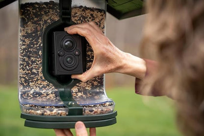 Smart Bird Feeder: AI Bird ID, Solar Power, Wi-Fi Connectivity, Sends HD Pictures and Videos to Your Phone, Two Seed Bins, Multiple Mounting Options - Best Smart Bird Feeder