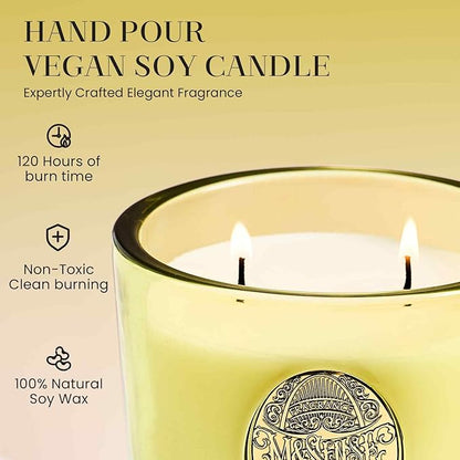 M&SENSE Large Two-Wick Soy Candle | Seattle Rainforest & Matcha Green |19.8 oz, 120H Burn Time | Luxury Scented Candle for Relaxation, Gifting, Home Décor | Ideal for Bedroom, Office, Party Ambiance