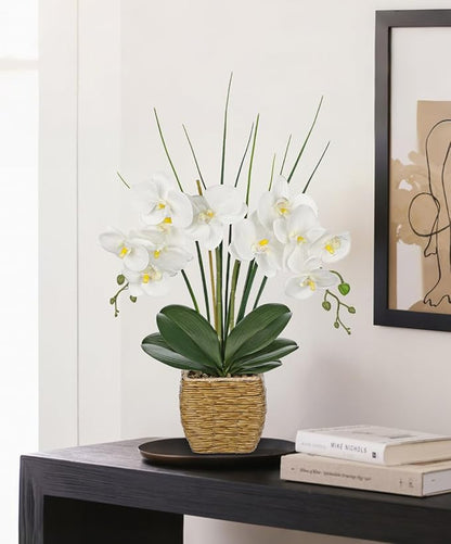 Hollyone 21.6" White Orchid Artificial Flowers Fake Orchid in Rattan Woven Vase Faux Orchids Phalaenopsis Arrangement in Pot for Office Table Centerpiece Shelf Wedding Indoor Outdoor Home Decor