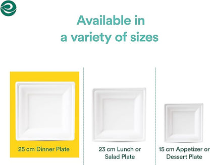 ECO SOUL 100% Compostable Square Paper Plates 10 Inch [100-Pack] Biodegradable Heavy Duty Eco-Friendly Disposable Plates for Thanksgiving Dinner, Parties, Wedding & Event(White)