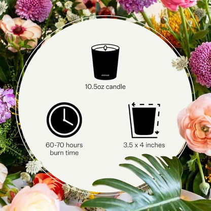 Apotheke Signature Scented Candles for Home, Hinoki Lavender - 10.5 oz - Soy Wax, Non Toxic, Large Jar White - Luxury Candle Gifts for Women & Men - Hinoki Cypress, Lavender, and Lotus Flower