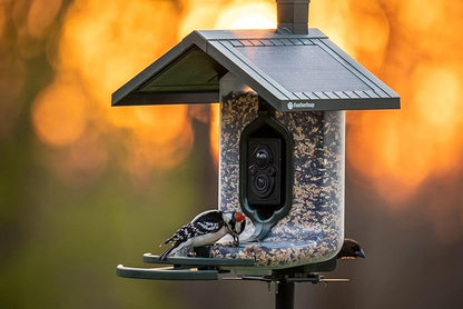 Smart Bird Feeder: AI Bird ID, Solar Power, Wi-Fi Connectivity, Sends HD Pictures and Videos to Your Phone, Two Seed Bins, Multiple Mounting Options - Best Smart Bird Feeder