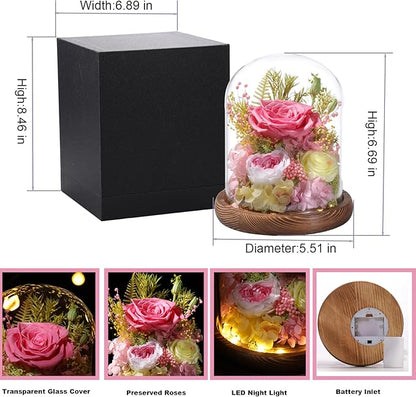 Flowers for Delivery Prime Preserved Flowers Pink Roses with LED Light in a Glass Dome,Long Lasting Real Roses Birthday Gifts for Women Daughter Mom Wife Friend（Pink Rose）