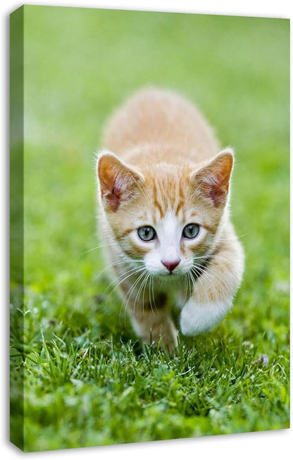 DBLAKI Personalized Custom Canvas Prints - Custom Framed Canvas Prints With Your Photos,Printed Photo To Canvas Wall Art Ideal for Home Decor Gifts Keepsakes 20" x30"