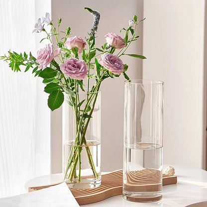 12 Pack Glass Cylinder Vases 14 Inch Tall Clear Flower Vase for Centerpieces, Hurricane Floating Candle Holder Wedding Decorations, Floral Vase Bulk for Table Shelf Party Home Deco (14 x 3.35 Inch)