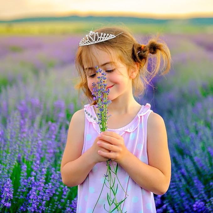 32 Pieces Girls Crystal Tiara Crown Rhinestone Tiara Headband Crystal Princess Tiaras Silver Heart Crown Headband for Wedding Prom Birthday Party Hair Jewelry