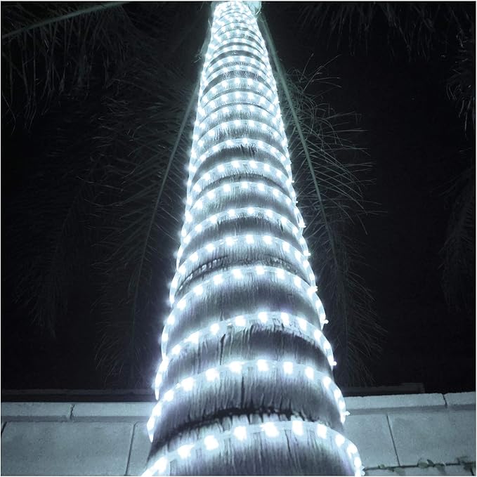 Russell Decor LED Rope Lights Festival Holiday Party Seasonal Christmas Decoration 30ft - 200ft Customized Available (Cool White, 10)